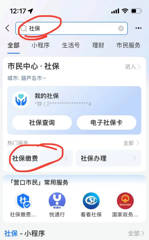 微信支付宝怎么交农村社保