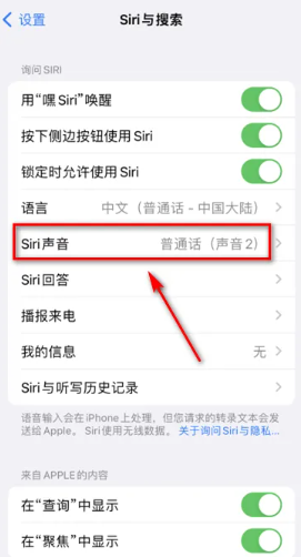 苹果手机怎么修改Siri声音